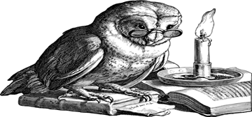 临邑县成人高考报名地址