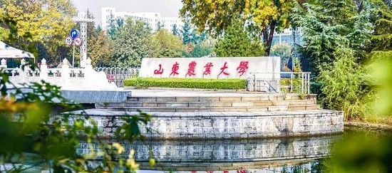 山东农业大学成考函授教育