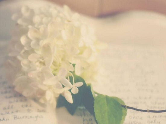 济宁微山县成人高考报名