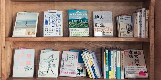 山东成考报名入口官网