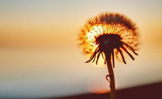 枣庄成考报名时间和报名入口