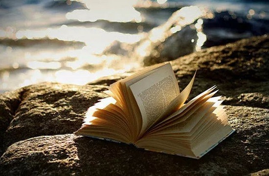 潍坊市成人大学2021成考在哪报名