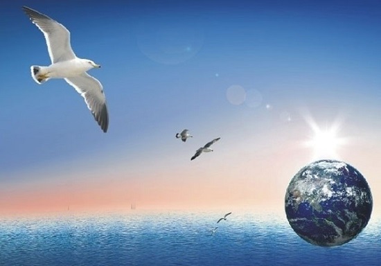 山东菏泽成考报名入口官网