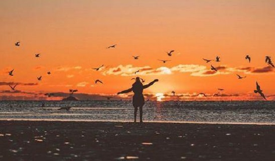 德州夏津县成人高考报名流程