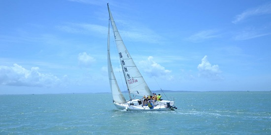 山东临沂成考报名入口官