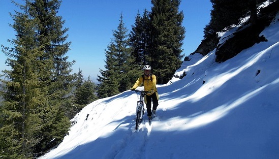 山东聊城成考报名时间