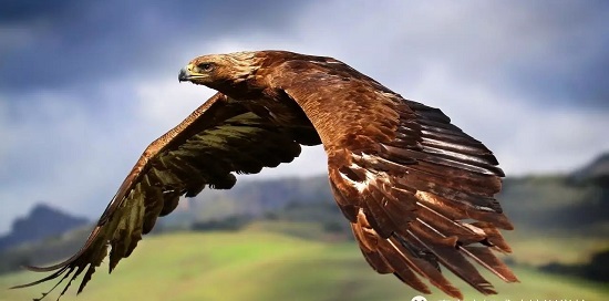 威海市成人大学报名