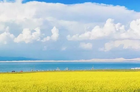 德州齐河县成人高考报名流程