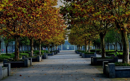 聊城茌平区成人高考学费标准