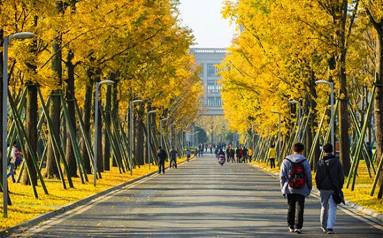 德州齐河县成人高考报名流程