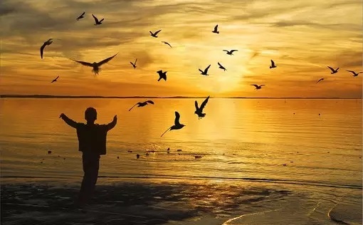 聊城市成人大学报名