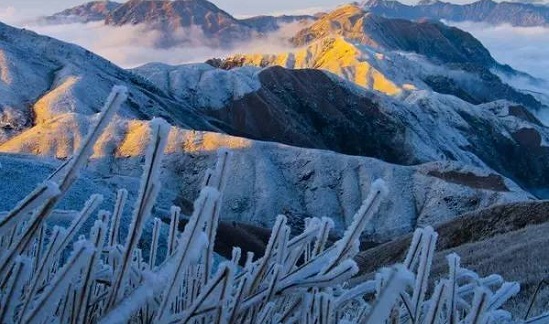 山东省成人高考报名条件