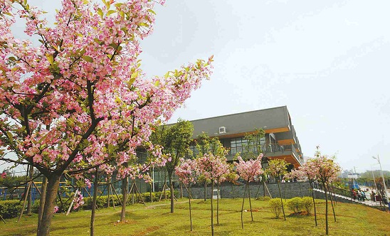 聊城莘县成人高考学费标准