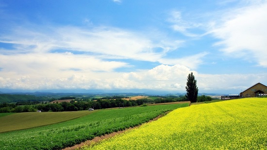 山东济宁成考学费