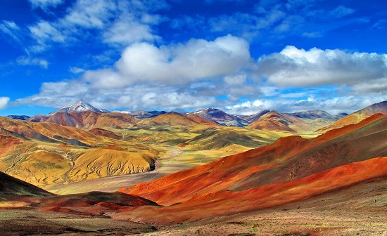 聊城莘县成人高考学费标准