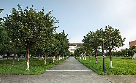 山东济宁成考学费