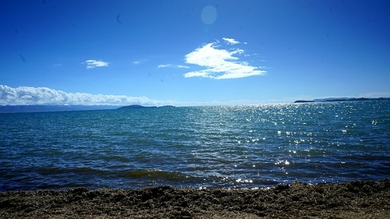 山东滨州成考学费