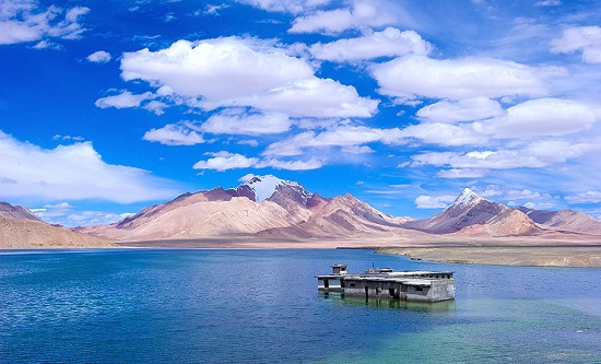 山东德州成考学费