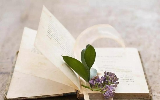 山东省聊城市成人高考落榜了怎么办