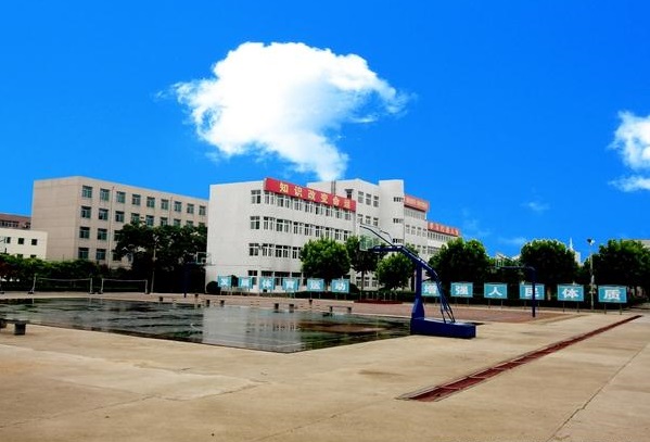 东营市成人高考报名入口官网