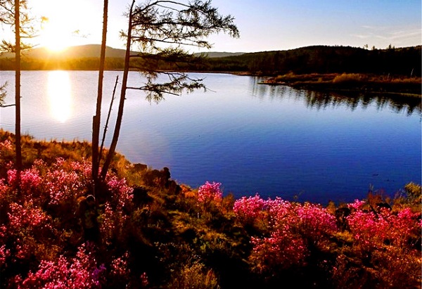威海市成人高考没考过怎么办