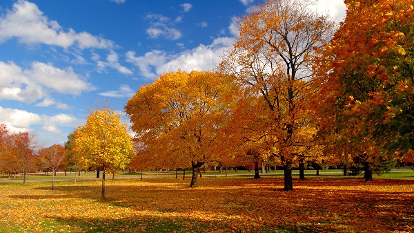 潍坊市成人高考报名时间