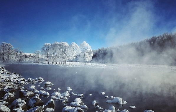 潍坊市成人高考报名入口官网