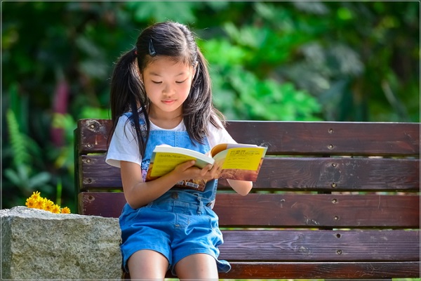 潍坊市成人高考报名时间