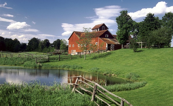 滨州市成人高考没考过怎么办