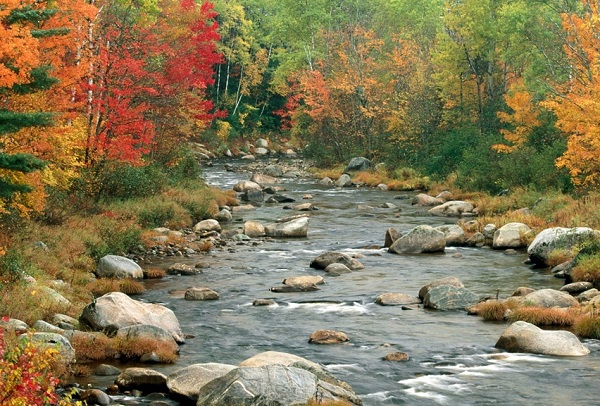 泰安市成人高考报名入口官网