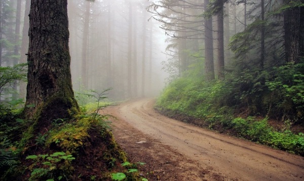 聊城市成人高考没考过怎么办