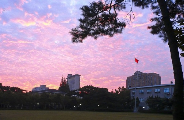 德州市成人高考报名入口官网