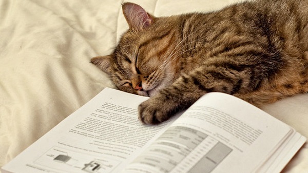 聊城市成人高考没考过怎么办