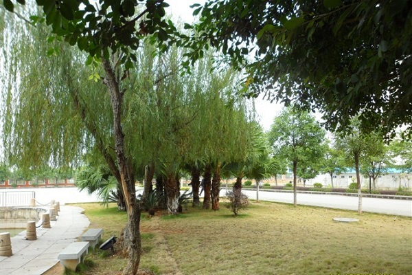 德州市成人高考报名时间