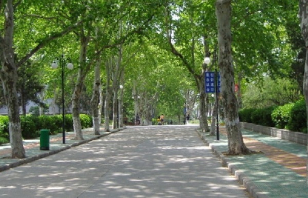 东营市广饶县成人高考落榜了怎么办