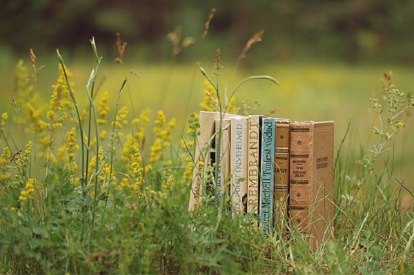 济宁市鱼台县成人高考落榜了怎么办