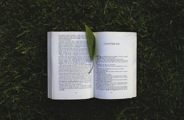 淄博市高青县成人高考落榜了怎么办