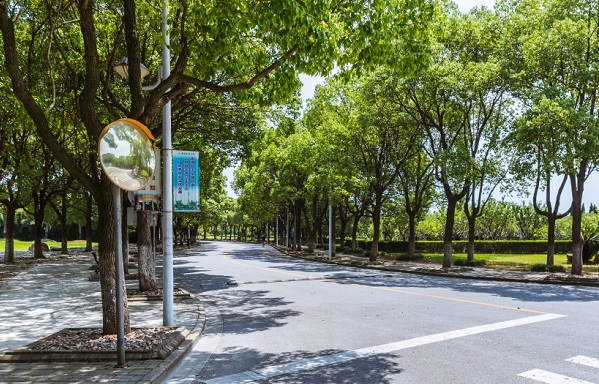 济宁市嘉祥县成人高考落榜了怎么办