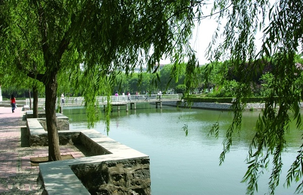 东营市广饶县成人高考落榜了怎么办