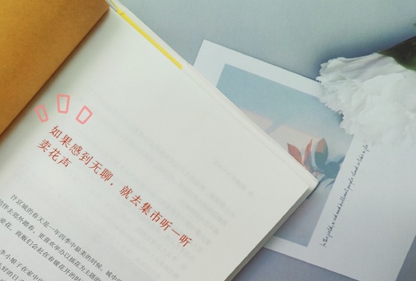 泗水县成人高考没考过怎么办