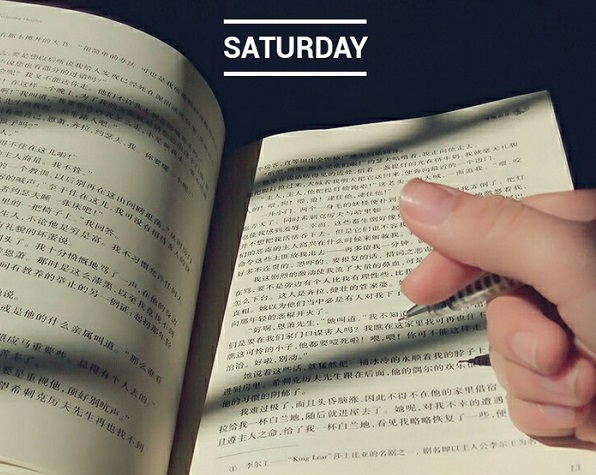 成人高考考试科目安排