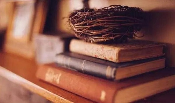 东营市成人高考退役军人免试入学政策