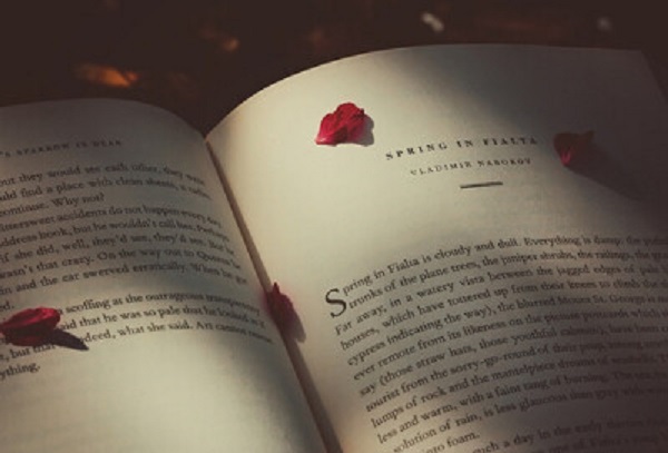 威海市成人高考在哪报名