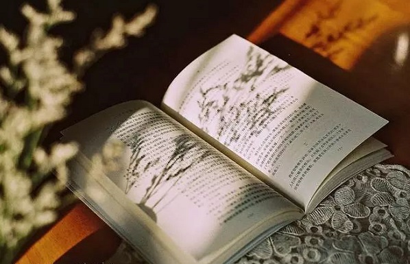 聊城市成人高考免试入学条件