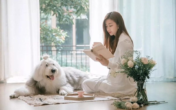 济南市成人高考如何选择适合自己的专业