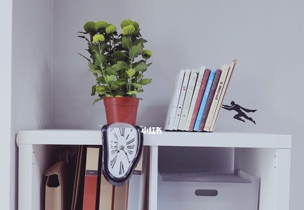 青岛市成人高考怎么报名