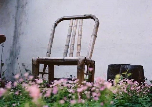 山东省成人高考成绩查询