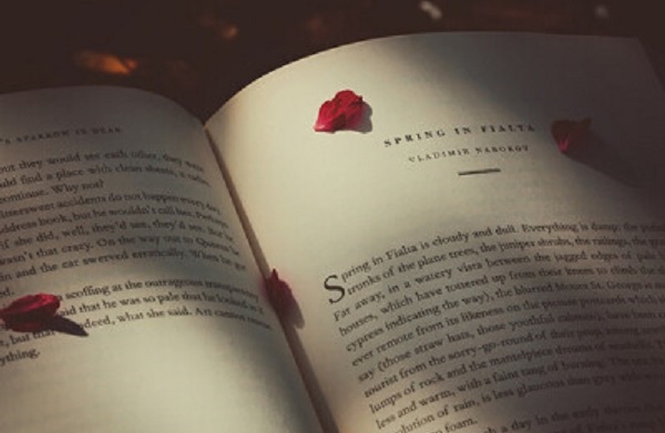 聊城东阿县成人高考报名时间