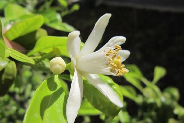 枣庄市成人高考成绩查询