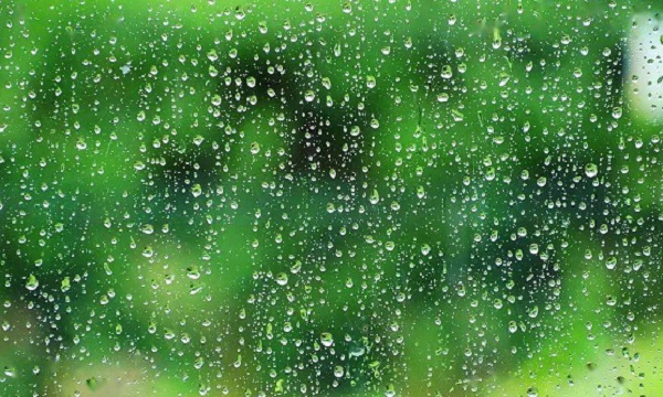 枣庄市成人高考成绩查询